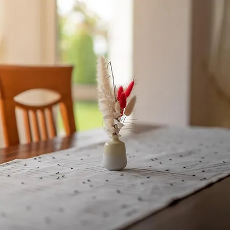 Am Feigenbaum Apartment Albisheim